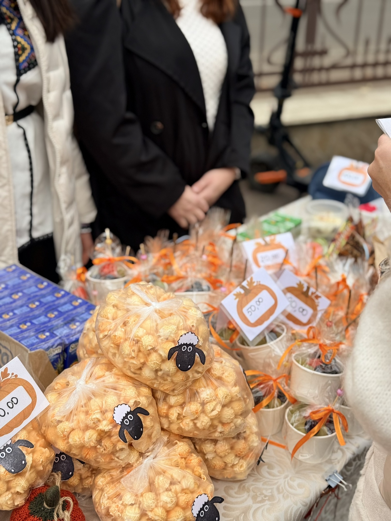 зображення_viber_2026-02-09_17-19-25-237