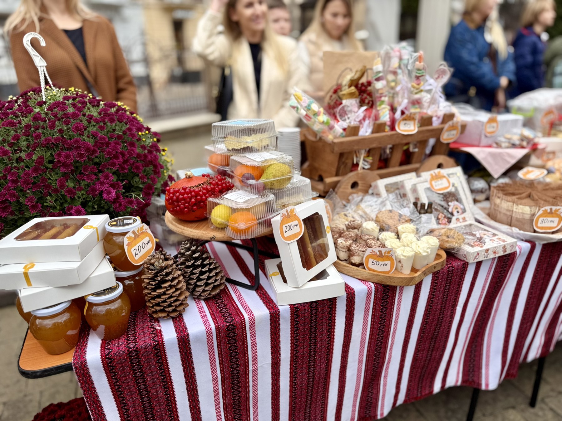 зображення_viber_2026-02-09_17-19-25-324