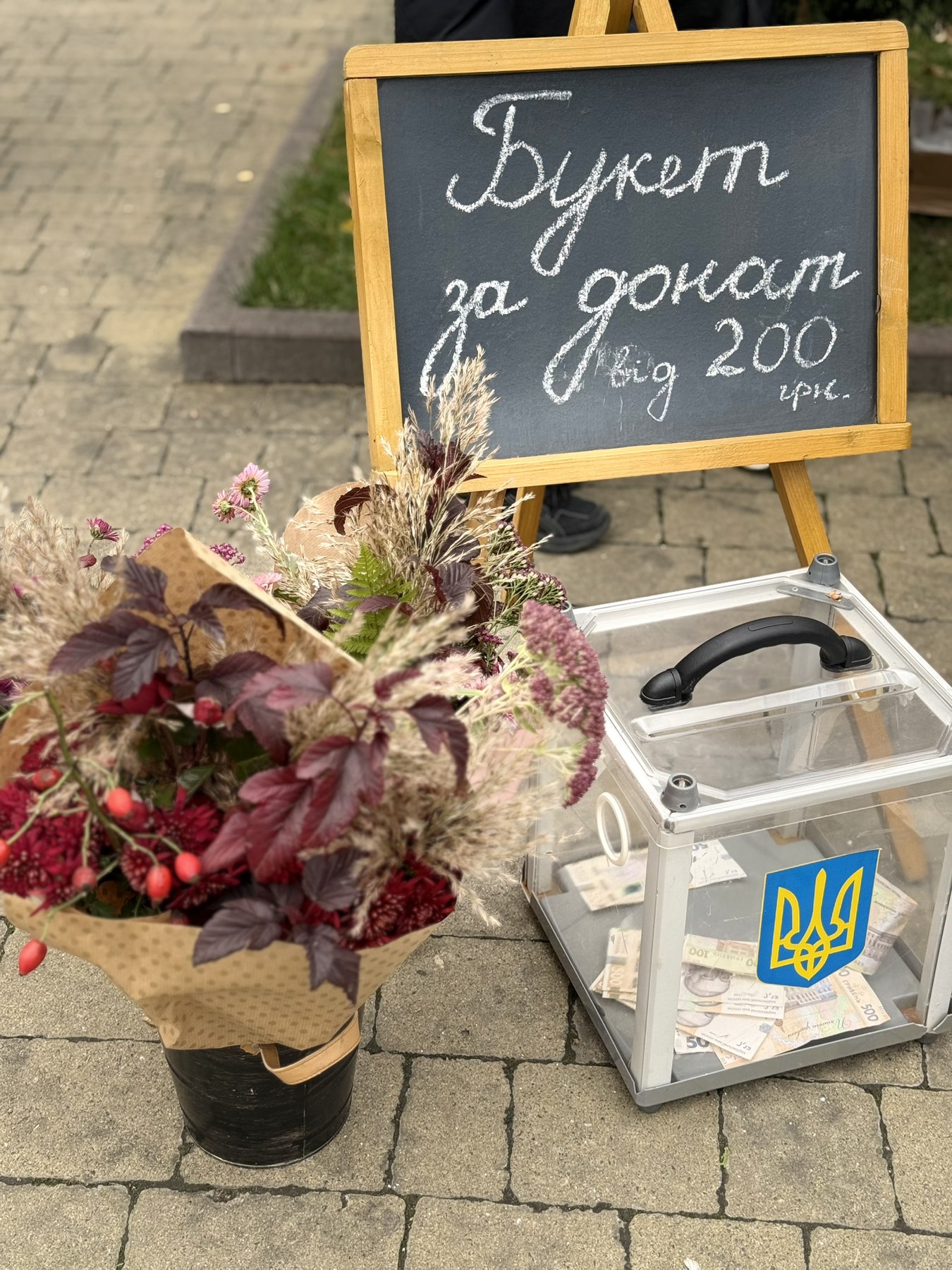 зображення_viber_2026-02-09_17-19-26-119